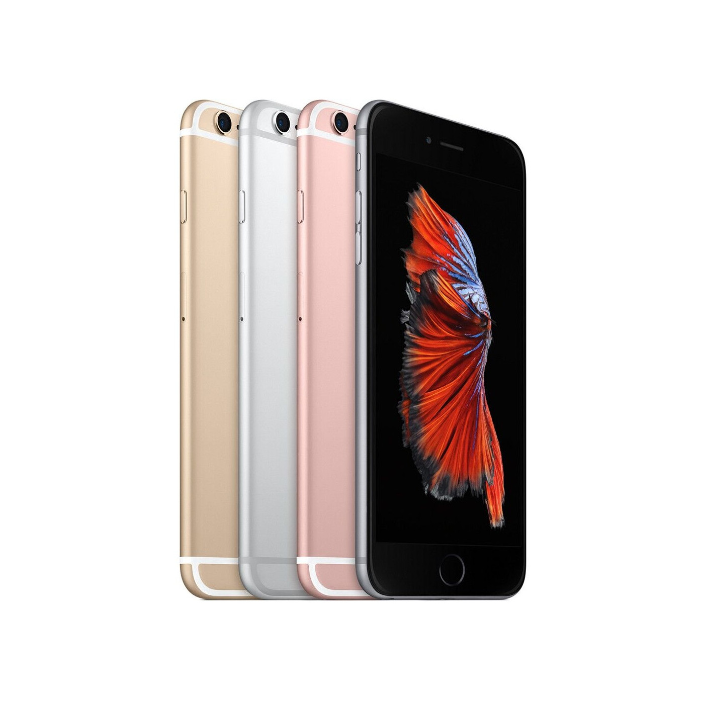 iPhone 6